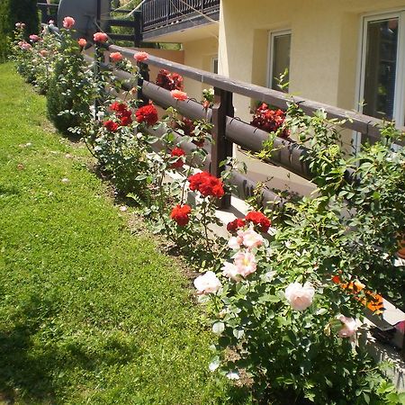 זלאטיבור Apartments Vila Velickovic מראה חיצוני תמונה