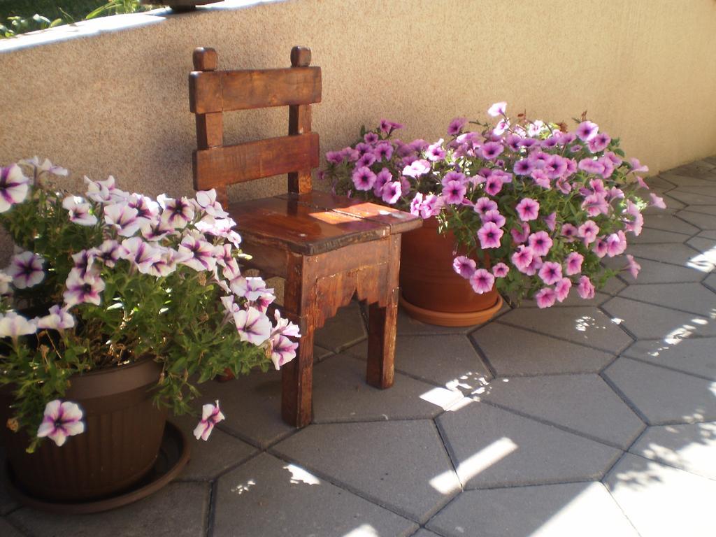 זלאטיבור Apartments Vila Velickovic מראה חיצוני תמונה