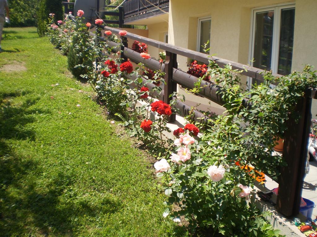 זלאטיבור Apartments Vila Velickovic מראה חיצוני תמונה