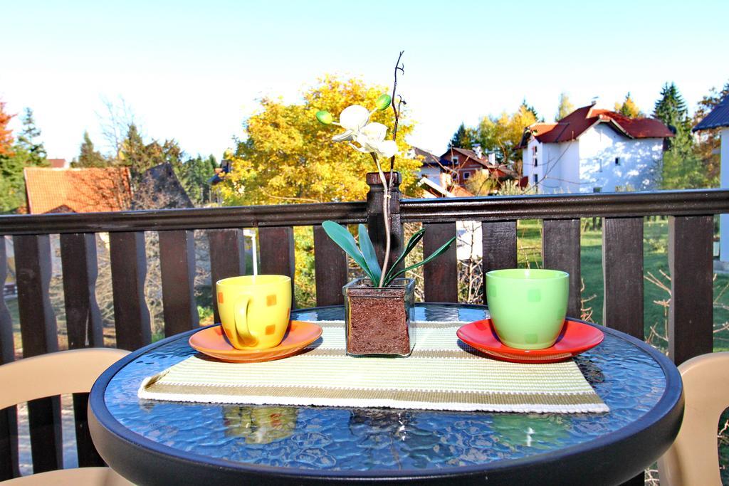 זלאטיבור Apartments Vila Velickovic מראה חיצוני תמונה