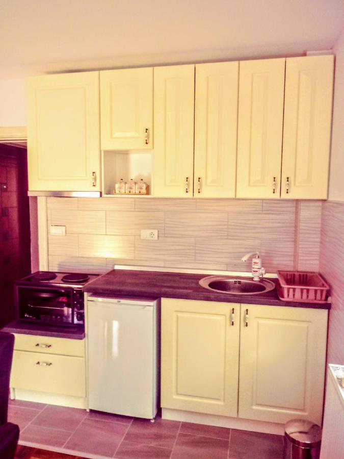 זלאטיבור Apartments Vila Velickovic מראה חיצוני תמונה